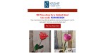 Kremp Florist discount code