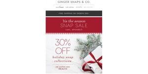 Ginger Snaps & Co coupon code