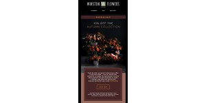 Winston Flowers coupon code