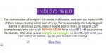 Indigo Wild discount code