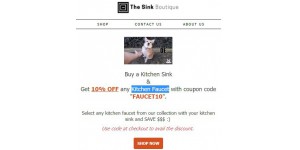 The Sink Boutique coupon code