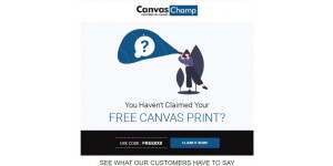 Canvas Champ AU coupon code