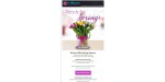 In Bloom Flowers discount code