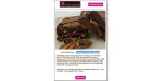 Blissful Brownies discount code