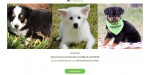 PuppySpot discount code