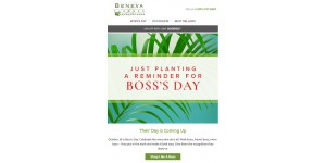 Beneva Flowers coupon code