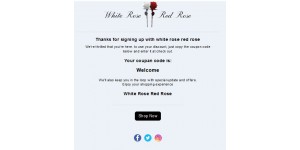 White Rose Red Rose coupon code