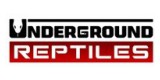 Underground Reptiles