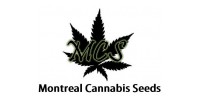 Montreal Cannabis Seeds