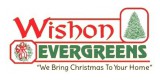 Wishon Evergreens