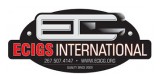 Ecigs International