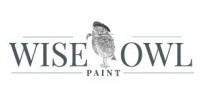 Wise Owl Paint