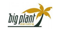 Big Plant Nursery