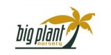 Big Plant Nursery