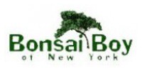Bonsai Boy of New York