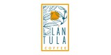 Plántula Coffee