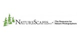 store nature scapes