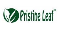 Pristine Leaf