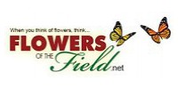 Flower Of The Field