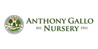 Anthony Gallo Nursery