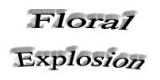 Floral Explosion