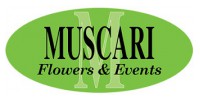Muscari Flowers and Events