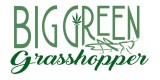 Big Green Grass Hopper