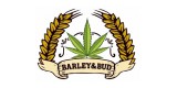 Barley and Bud