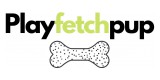 Play Fetch Pup