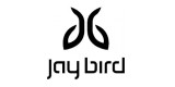 Jay Bird