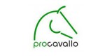 Procavallo