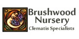 Brushwood Nursery