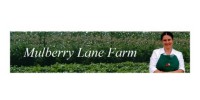 Mulberry Lane Farm