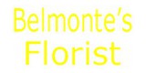 Belmontes Florist