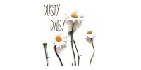 Dusty Daisy Wears