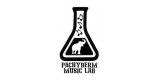 Pachyderm Music Lab