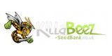 Killa Beez Seed Bank