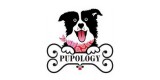 Pupology