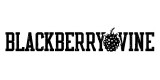 Blackberry Vine