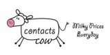 Contacts Cow