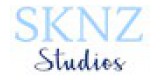 Sknz Studios