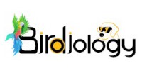 Birdiology