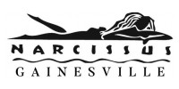 Narcissus Gainesville