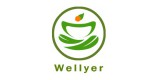 Wellyer