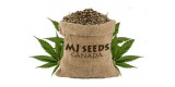 Marijuana Seeds Canada