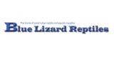 Blue Lizard Reptiles