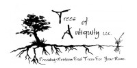 Trees Of Antiquity