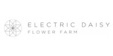 Electric Daisy Flower Farm