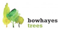 Bowhayes Trees