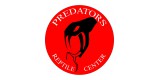 Predators Reptile